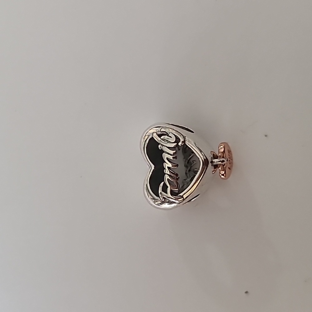 Pandora style charm family